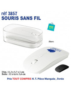 SOURIS SANS FIL REF 3857 3857 SOURIS TAPIS SOURIS  5,95 € 2